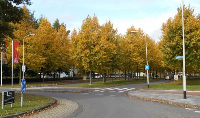 Het weer oogt dan wel zomers, toch krijgen de bomen langzaam aan herfstkleuren.