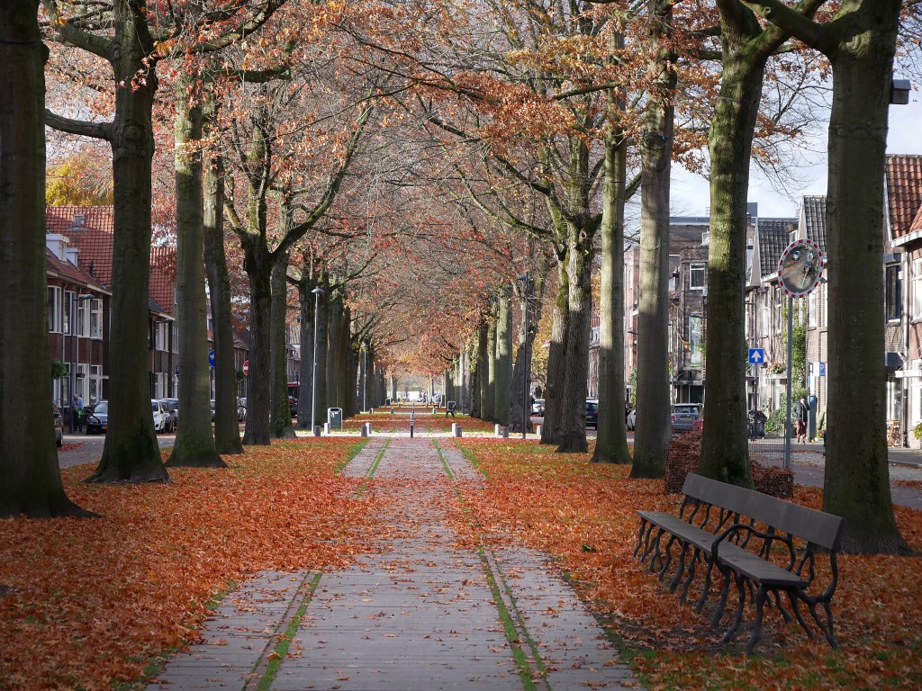 Herfst in Breda, november 2018.