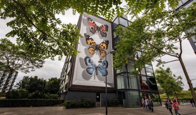 De ‘vlinder’ schildering door kunstenaar Mantra (FR) is genomineerd voor ‘Best Mural’
