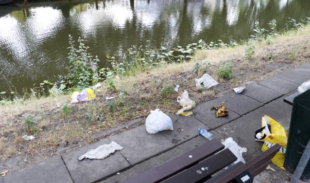 Tijdens de World Cleaning Day gaan de deelnemers zwerfafval opruimen
