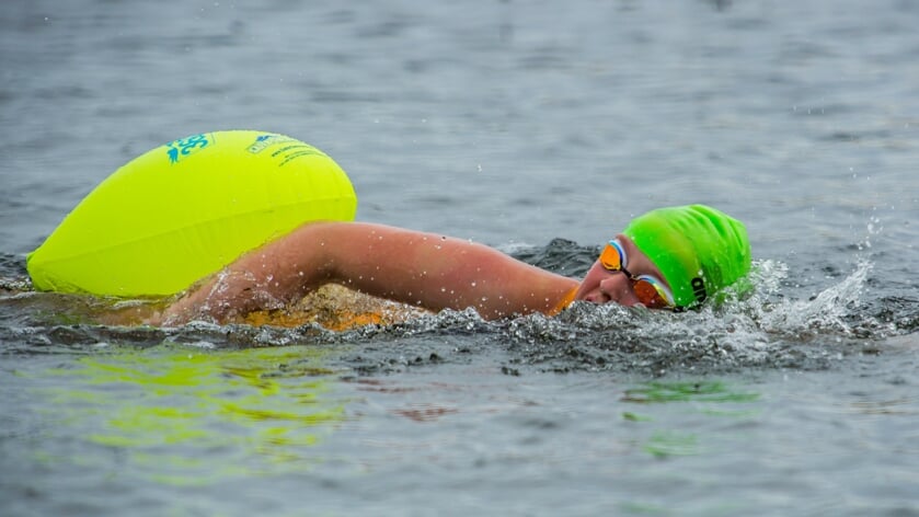 Tientallen Tholenaren zwemmen dit weekend over de Oosterschelde voor speeltuin