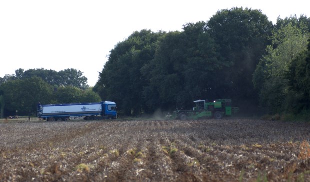 Een aardappelveld. (archieffoto)
