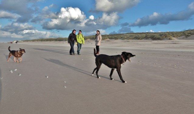 In het naseizoen kunnen honden los rondrennen op het strand.