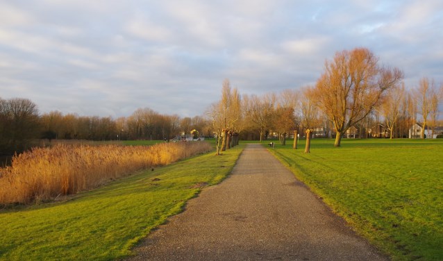 Het Nollebos is woensdag 23 januari onderwerp van gesprek tijdens een bijeenkomst in de Lasloods.