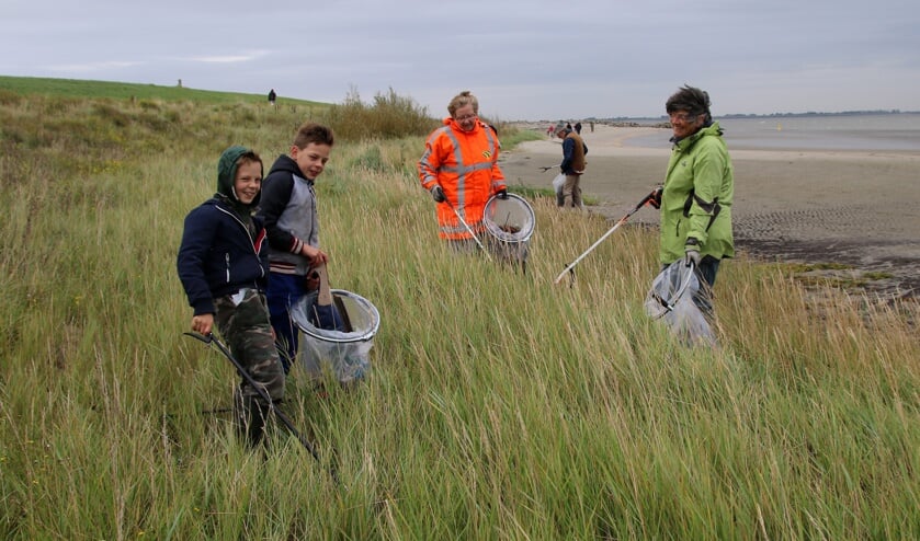 Vrijwilligers maken Schelde-oevers schoon