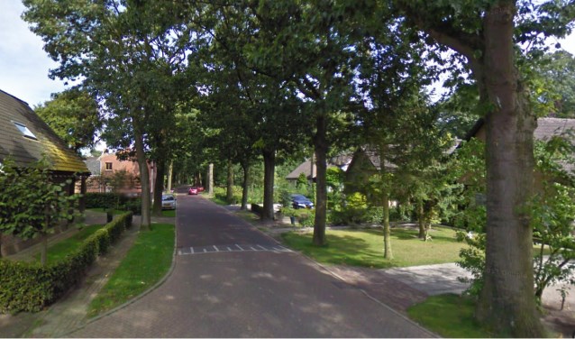 Bomen aan de Hollandseweg