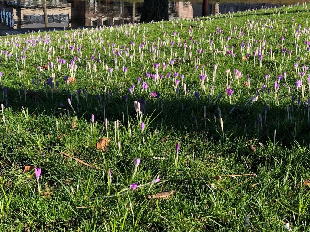 Park Valkenberg.