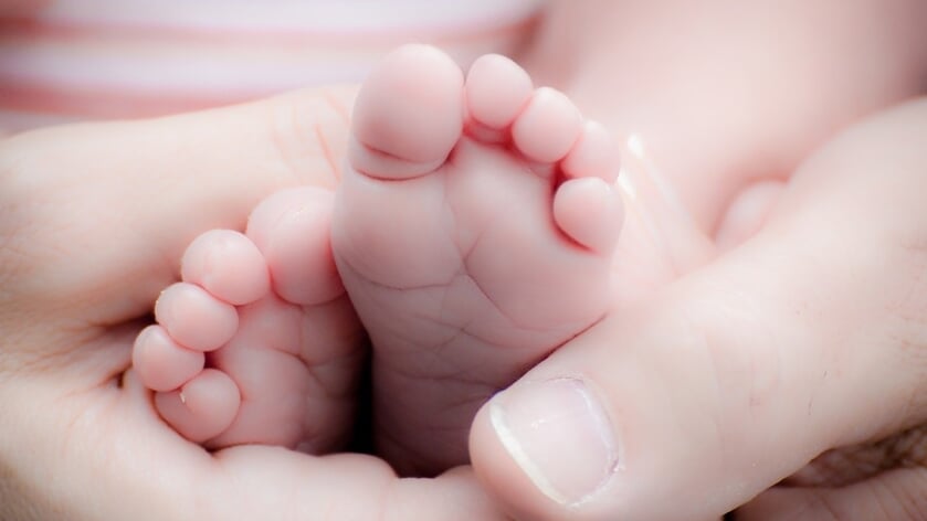 Nieuwe mijlpaal: Baby Brent is 27 duizendste inwoner van gemeente Tholen