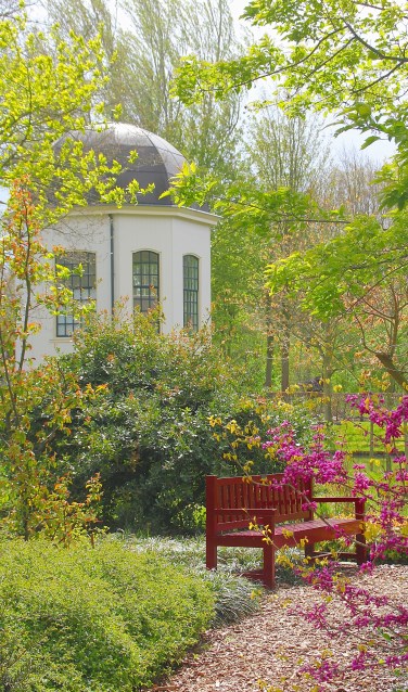 Bloeiend voorjaar in het Arboretum Oudenbosch met op de achtergrond de bekende theekoepel van de tuin. FOTO FRANK VAN ANDEL