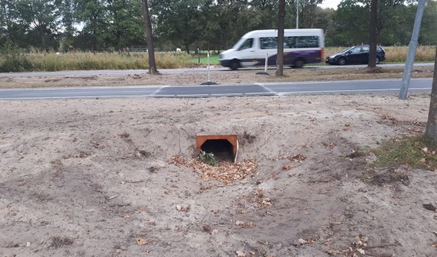Faunatunnel Westerhagelaan
