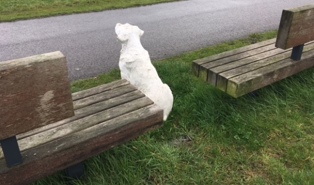 De hond staat op wacht tussen twee bankjes aan de Waterdonken.