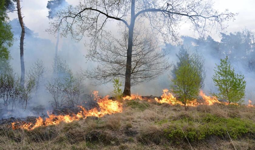 Verhoogd risico op natuurbrand in provincie