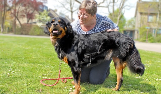 Rocky kwam, zag en overwon het hart van Liesbeth. FOTO ELS ROMMERS