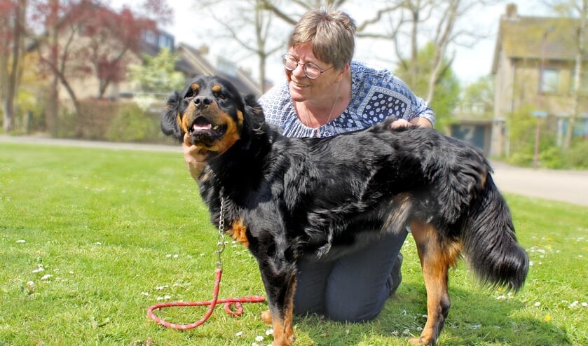 Rocky kwam, zag en overwon het hart van Liesbeth. FOTO ELS ROMMERS
