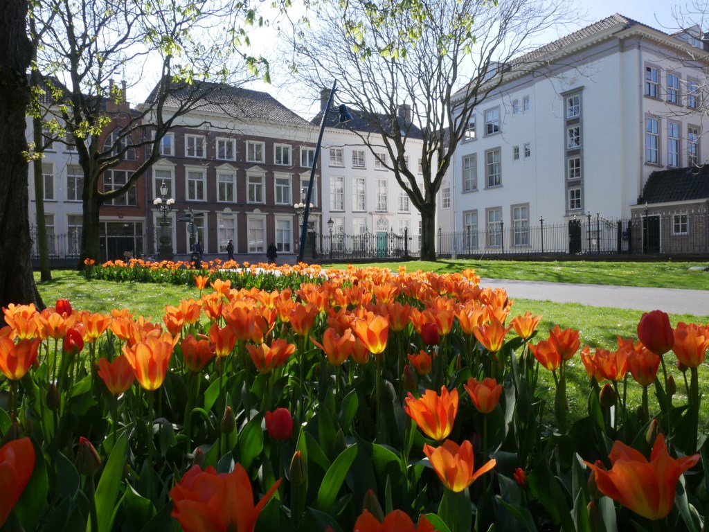 Bloemen in park Valkenberg.