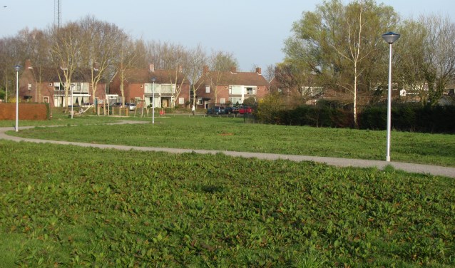 Momenteel is het voormalige terrein van Brabant Chemie in gebruik als groenstrook. Er kan gewandeld en gerecreëerd worden. Ook kunnen er kleine evenementen worden gehouden. Buurtvereniging 't Pleintje fungeert als beheerder.