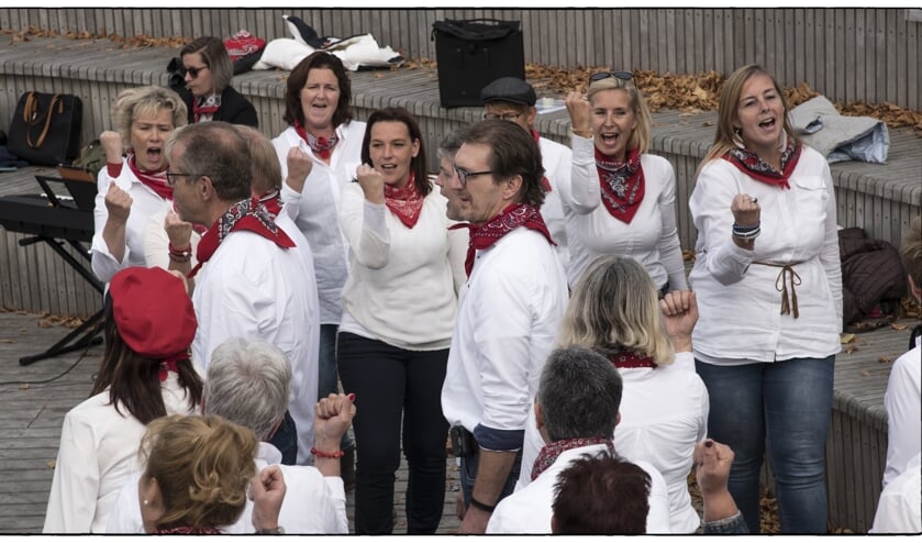 Popkoor The Sparrows, optreden tijdens Bietentocht 2018 Steenbergen. FOTO ED KIL