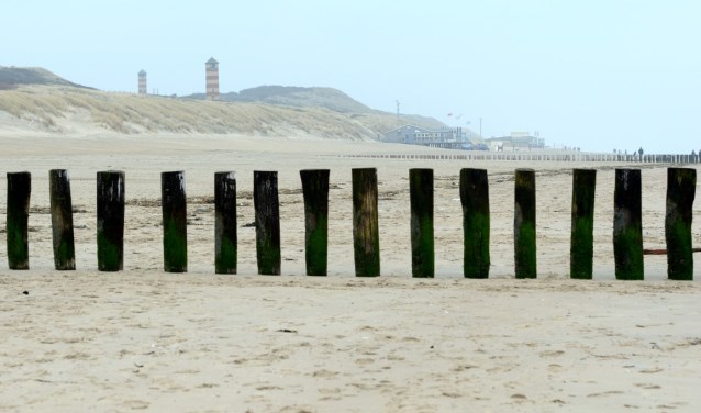 Op de Veerse waarderingsonderscheiding staan paalhoofden afgebeeld.