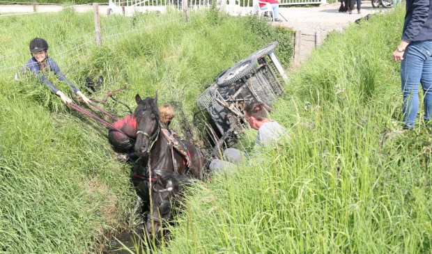 De tweespan met paarden raakte door onbekende reden in de sloot.