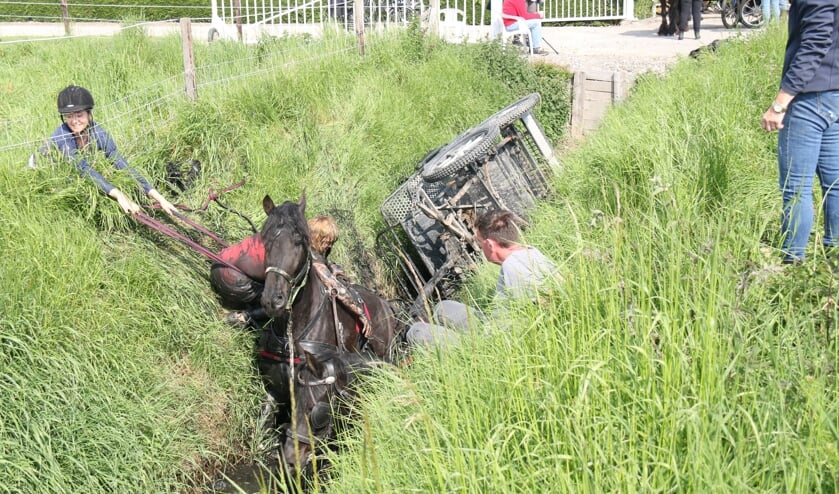 De tweespan met paarden raakte door onbekende reden in de sloot.