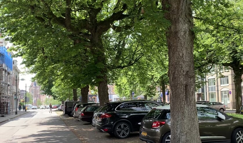 De twintig zieke kastanjes aan de Parkstraat worden gekapt en vervangen door 18 tulpenbomen. Ook verdwijnen er 18 parkeerplaatsen.