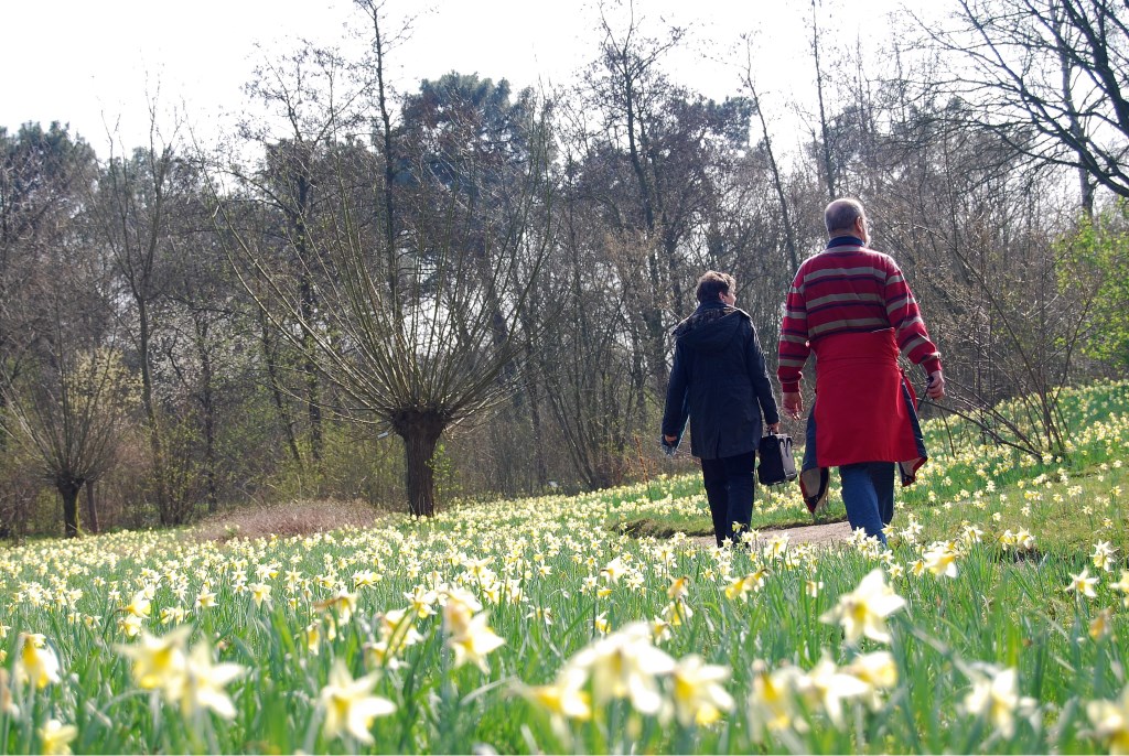 Wandeling door de heemtuin in Rucphen.
