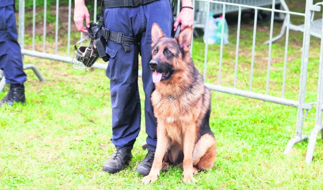 politiehond