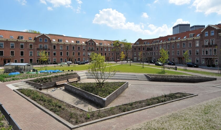 Het Rotterdamse plein is volgens Halderberge een mooi voorbeeld.