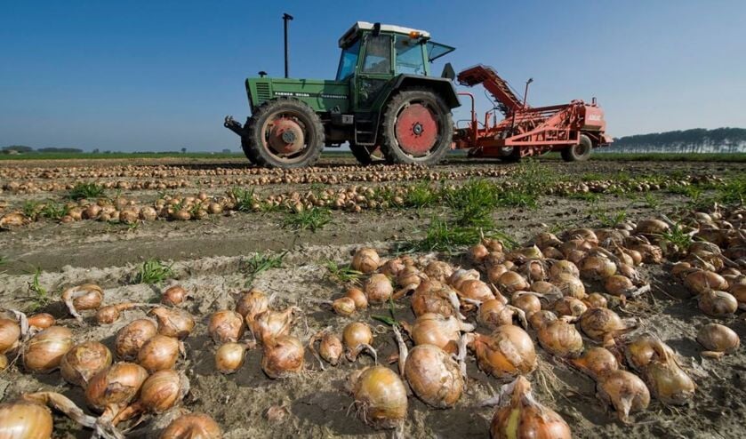 OM verdenkt Zeeuwse landbouwbedrijven van megafraude   