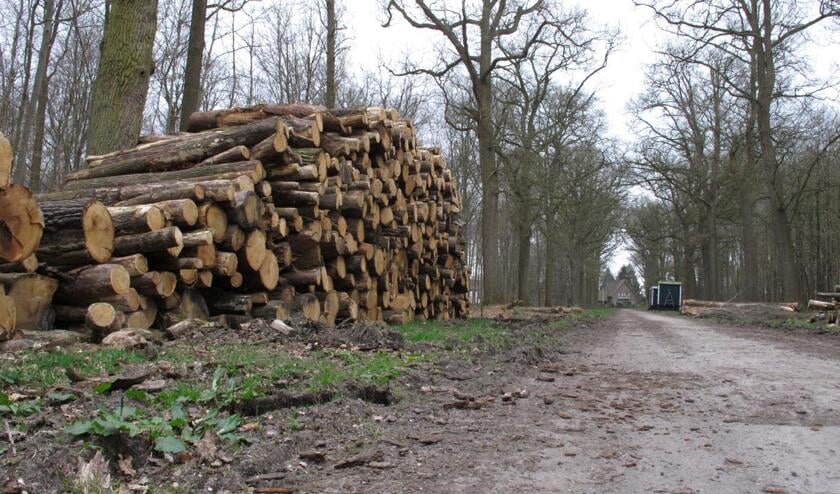 Liesbos Breda