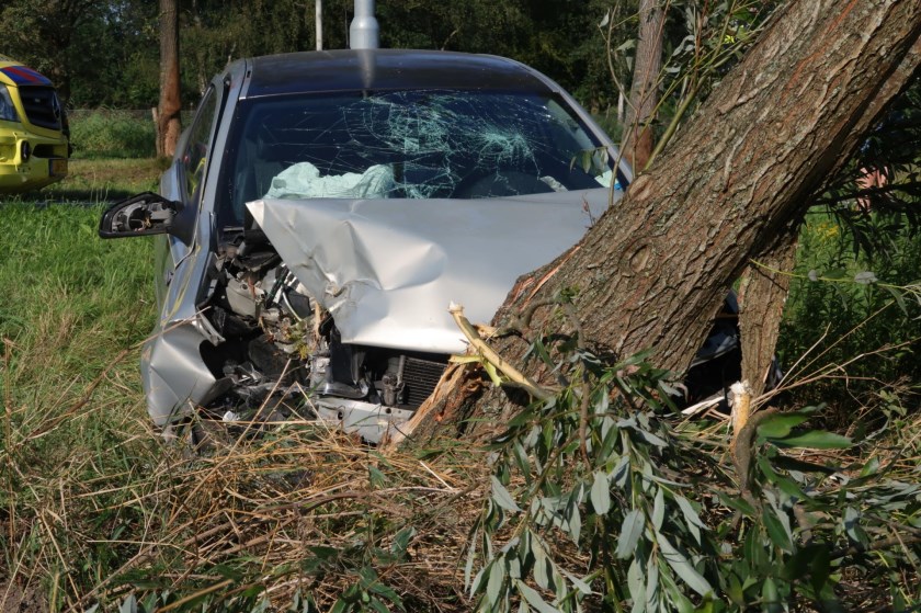 De auto kwam tegen een boom tot stilstand.