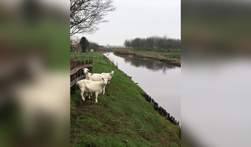 Doe mee, deel jouw Plekjes van Geluk in Waterpoort