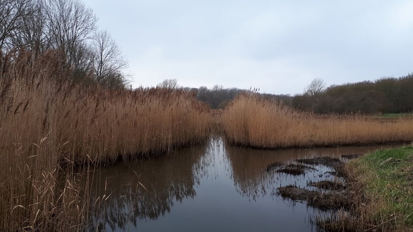 Petitie voor natuurbegraafplaats in Vlissingen