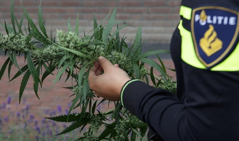 Bestuurder Onder Invloed Van Drugs, Bijrijder Heeft Drugs Bij Zich