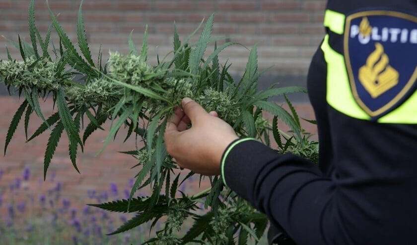 Politie vindt bijna 5 kilo hennep in woning