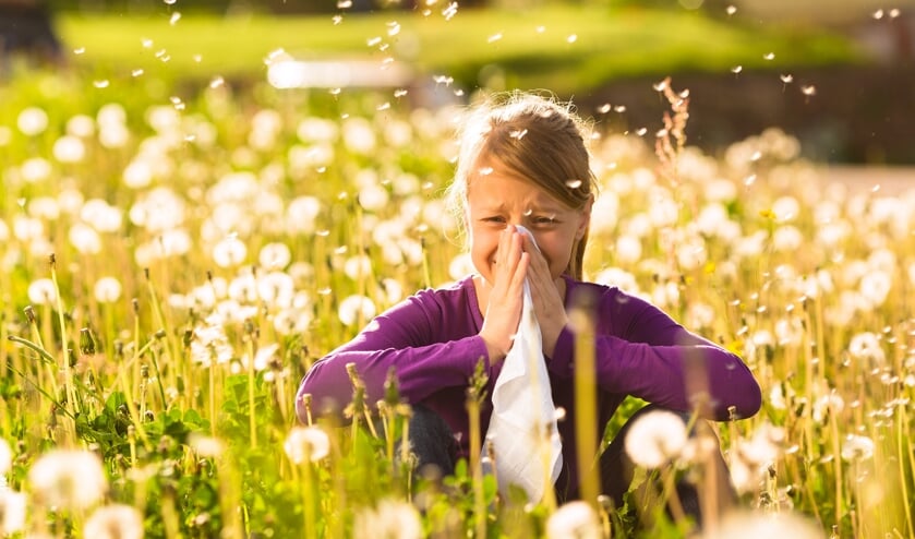 Good news for people with hay fever: pollen season is almost over