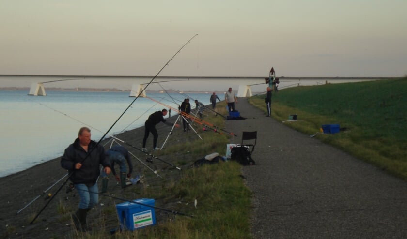 Viswedstrijd in Colijnsplaat met zon en bijna geen wind