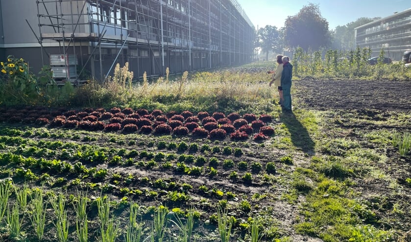 CitySeeds Middelburg krijgt een voedselbos