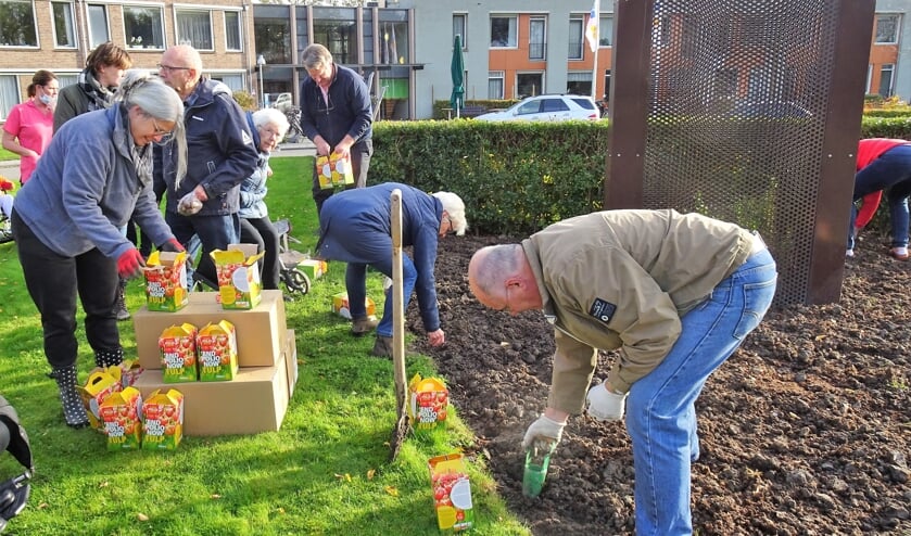 Rotary plant tulpen tegen polio
