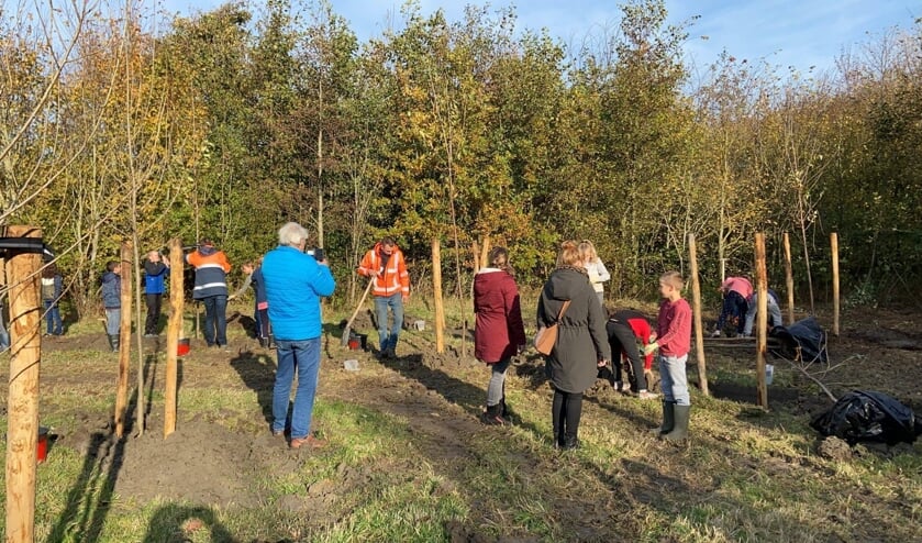 Waterschap Scheldestromen start jaarlijkse plant- en rooiwerkzaamheden