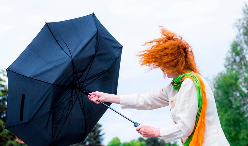KNMI geeft code geel af: wind kan snelheden halen tot 85 kilometer per uur