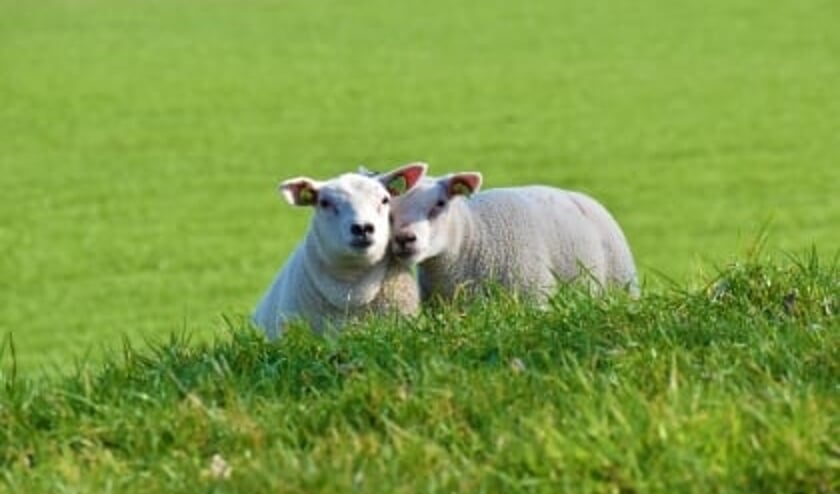 Gure paasmaandag op komst