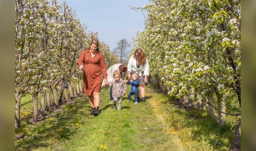 Unieke wandeling in de boomgaard Van Wisse
