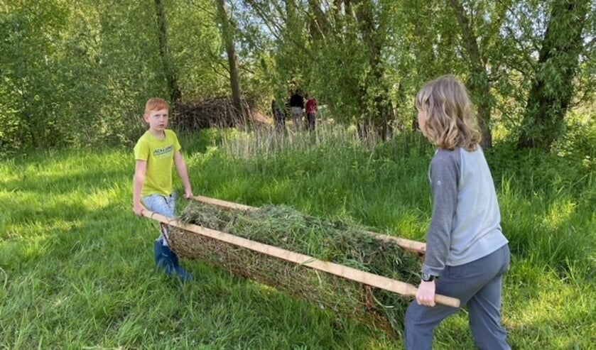 Bovenbouw van de Kraal zet zich in voor meer biodiversiteit op Schor Alteklein