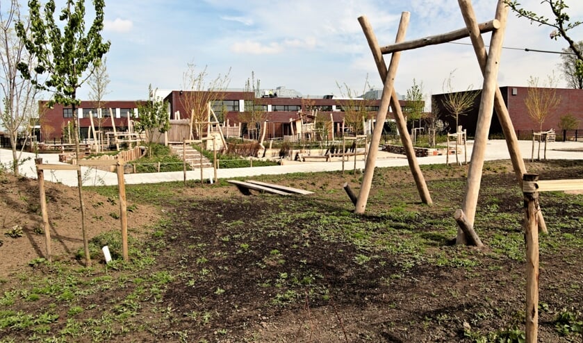 Tholen heeft een van de grootste groene schoolpleinen van Nederland