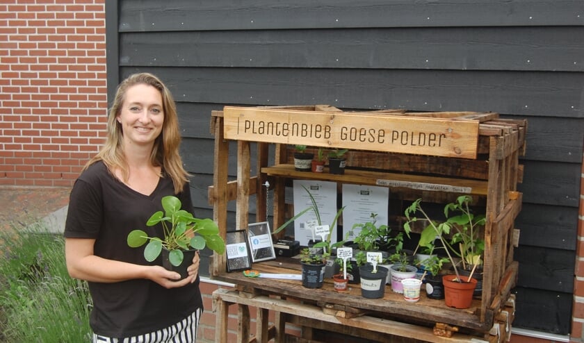 ‘Planten zijn ontzettend goede sfeermakers’