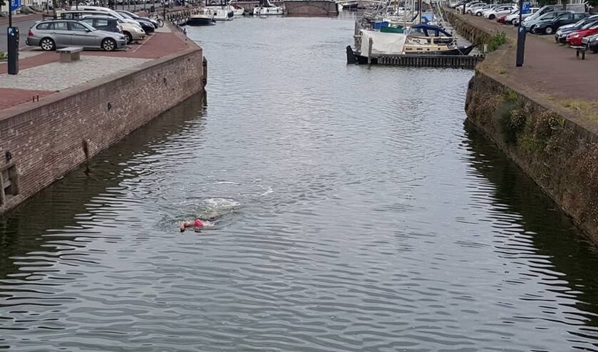 Deelnemers Rotterdam Swim zwemmen voor grachtenschoonmaak in Middelburg