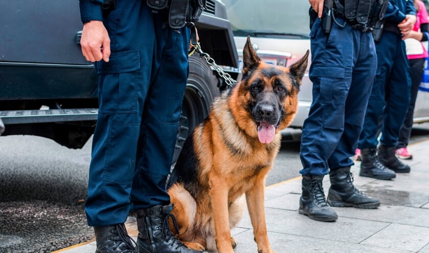 Politiehond Zorro vindt verdachte inbraak bedrijf aan de Stevinweg