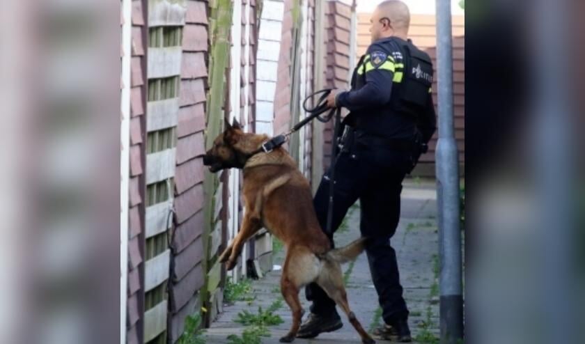 ‘Ga niet zelf op onderzoek uit, dat kost speurhond meer werk’