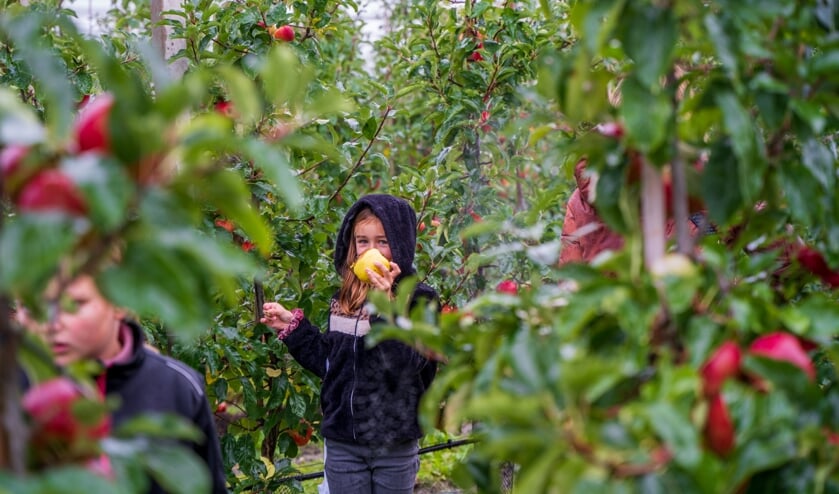 Begroting 2023: ‘Meer (pluk)bomen en een tiny forest’